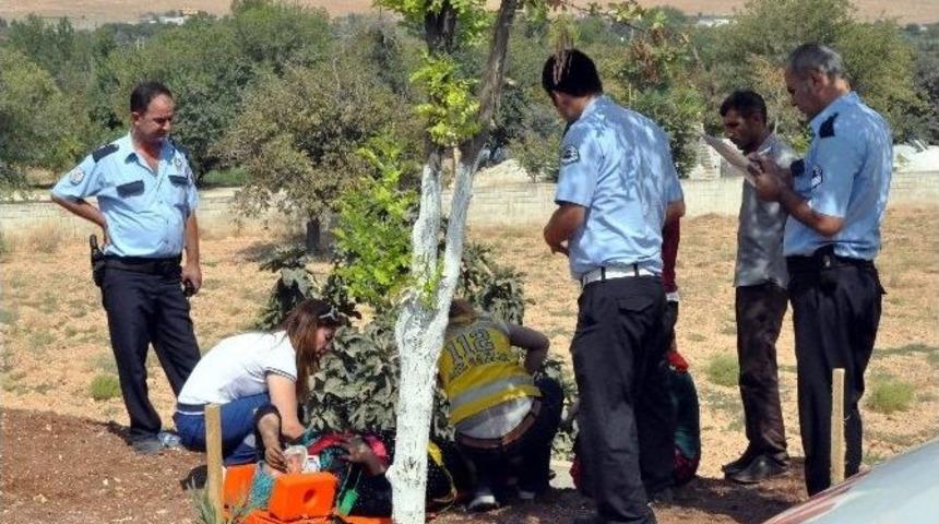 Otomobil Şarampole Yuvarlandı: 3 Yaralı