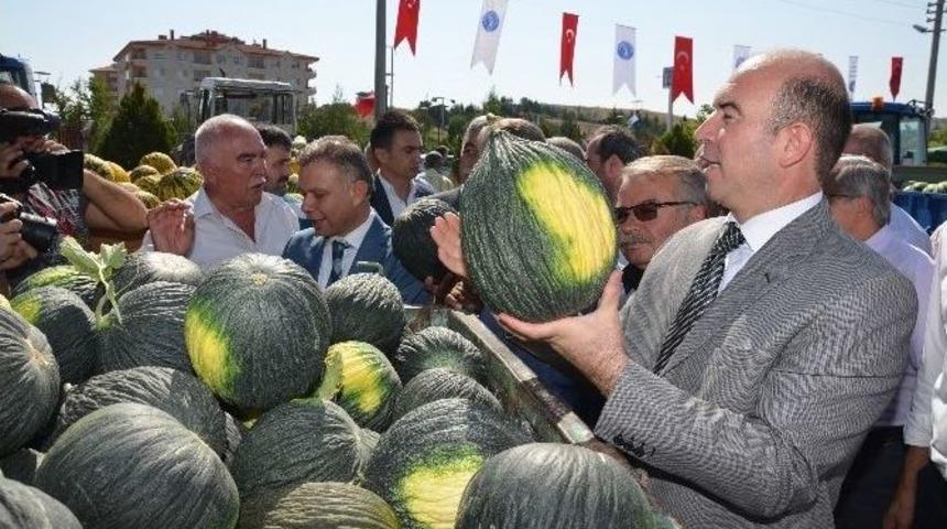 Kazan Kavunu Pazara İndi