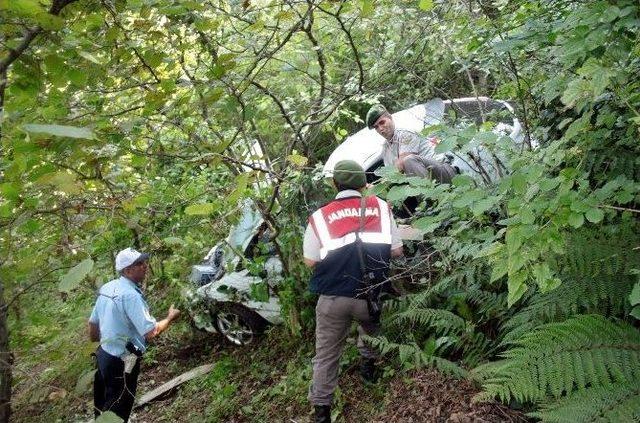 Tel Örgüler, Otomobilin Uçurumdan Yuvarlanmasını Engelledi