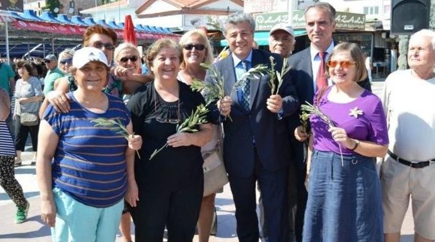Ayvalık’ta Balbay’dan Zeytin Dalı