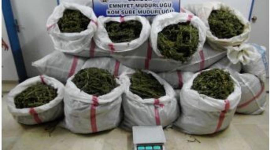 Burdur&rsquo;da &Ccedil;uvallar İ&ccedil;inde 143 Kilo 600 Gram Esrar Ele Ge&ccedil;irildi