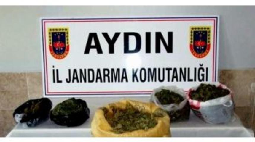 Çine’de 270 Kilo Esrar Ele Geçirildi