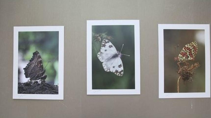 U&ccedil;an Renkler Galeride Sergileniyor