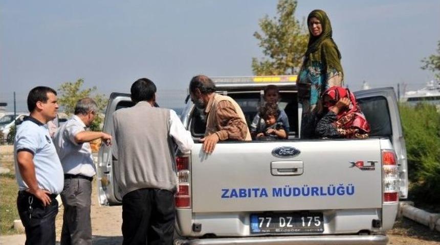 Yalova Zabıtası Parklarda Yatan Suriyelileri Topladı