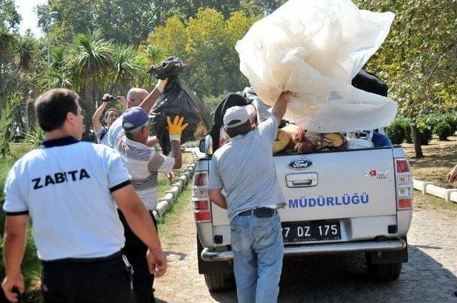 Yalova Zabıtası Parklarda Yatan Suriyelileri Topladı