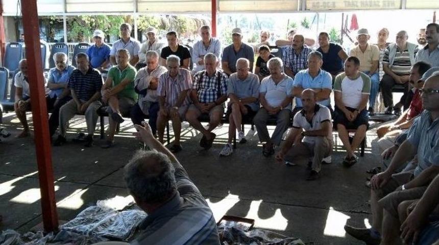 (&ouml;zel Haber) Taze Balık Mezadına B&uuml;y&uuml;k İlgi