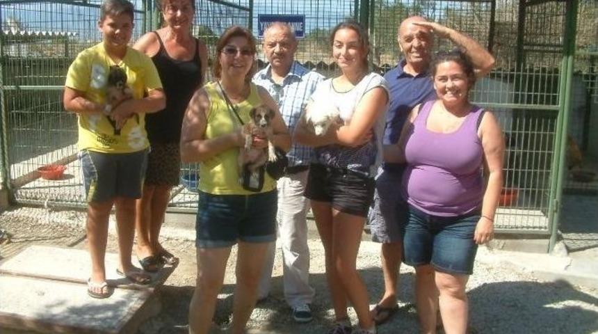 Burhaniye&rsquo;deki K&ouml;pek Barınağı Beğenildi