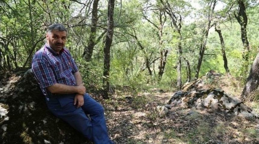 Kocasinan&rsquo;dan Kayseri&rsquo;ye 3 Yeni Kent Ormanı