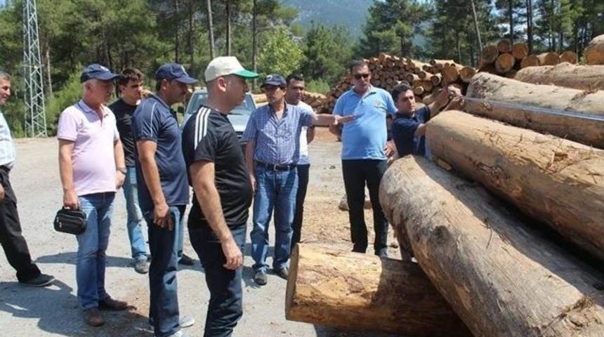 Orman B&ouml;lge M&uuml;d&uuml;r&uuml; İsmet Erol Feke&rsquo;de