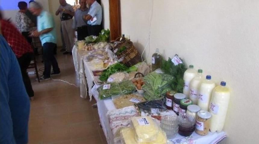 Ilgaz Dağı Milli Parkında, Ekoturizm &Ccedil;alıştayı Yapıldı