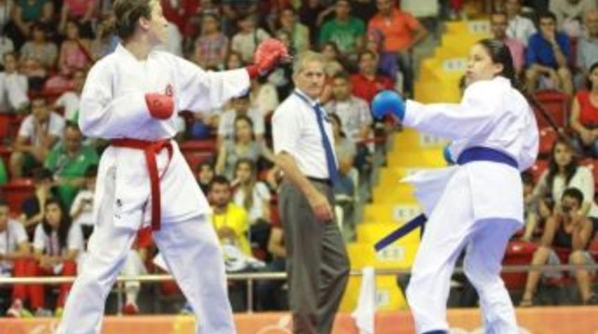 Kocaelili Karateciler, Zirvenin Peşinde