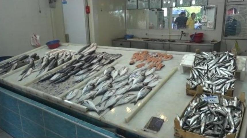 Balık&ccedil;ılar Umduklarını Bulamadı