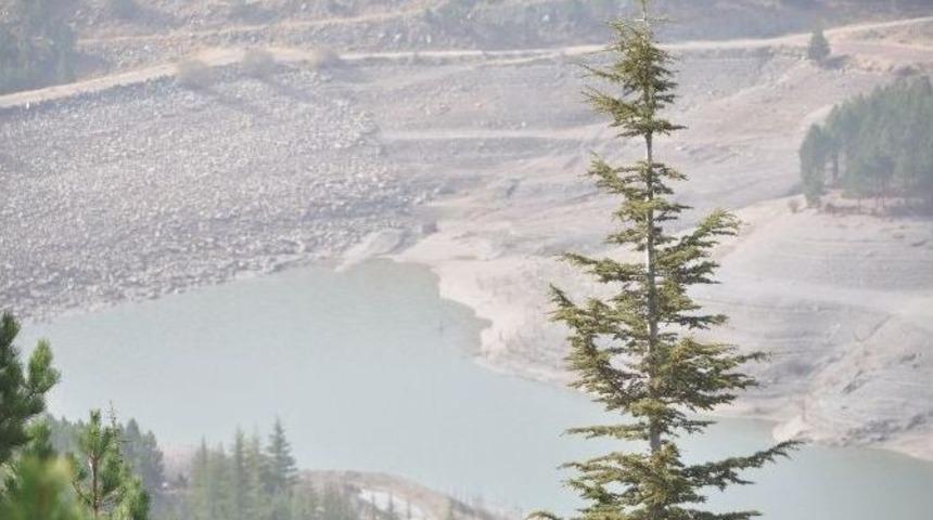 "baraj Havzaları Yeşil Kuşak Ağa&ccedil;landırma &Ccedil;alışmaları" Yurt Genelinde Devam Ediyor