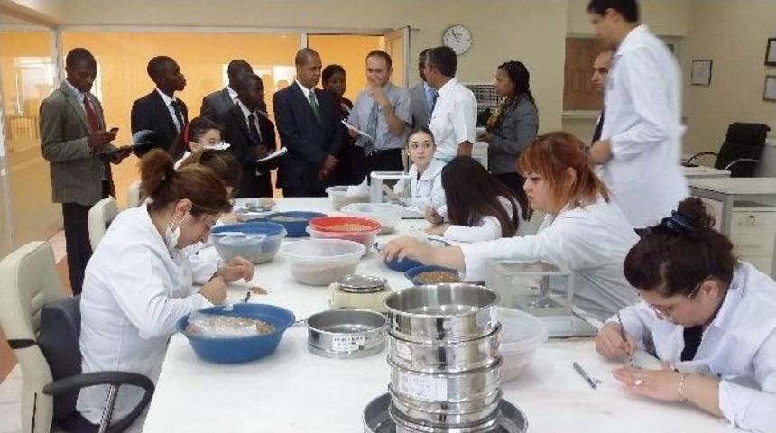 Mozambik Emtia Borsası Kurulmasına Destek