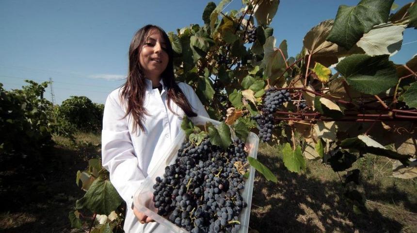 Sağlıklı Nesiller I&ccedil;in Siyah &Uuml;z&uuml;m Yetiştirecekler