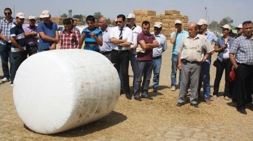 Silaj Yapımında Yeni Bir Teknik