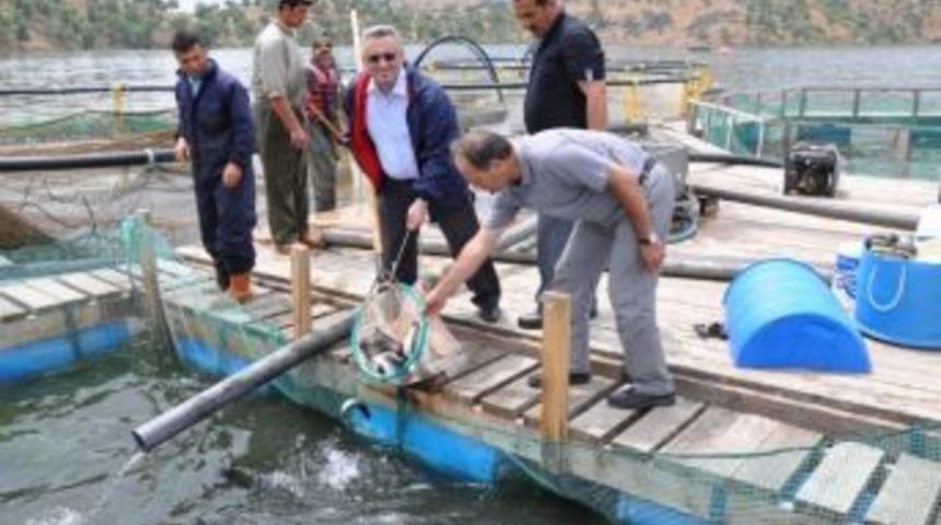 Av Malzemesi Satan İşletmeler Uyarıldı