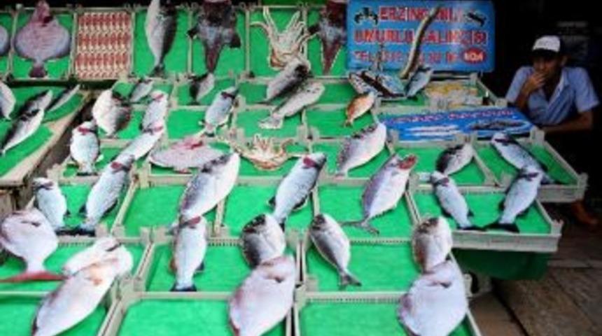 Bu Tezgahtakiler Balık Değil