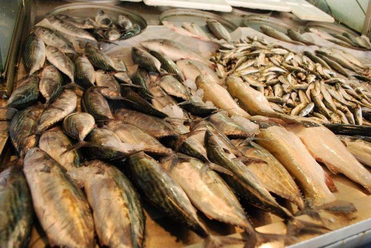 Balık Tezgahları Şenlenmeye Başladı G1