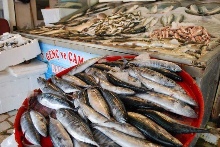 Balık Tezgahları Şenlenmeye Başladı G2