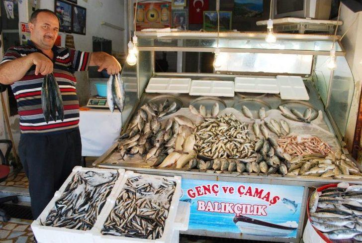 Balık Tezgahları Şenlenmeye Başladı G4