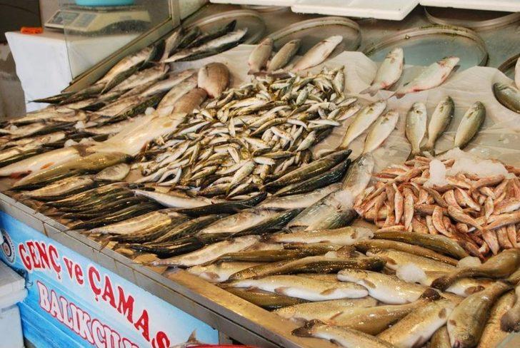 Balık Tezgahları Şenlenmeye Başladı G5