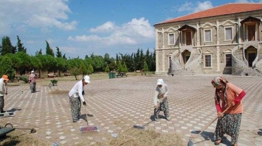 Okullarda Temizlik &Ccedil;alışmaları