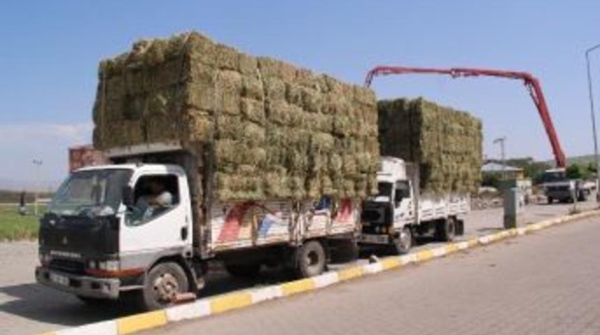 Balya Ot &Ccedil;ıldır Pazarında Yerini Aldı