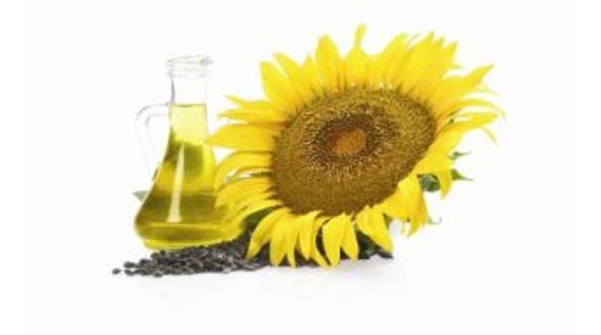 May Tohum Oliva Cl İle De Kazandırıyor