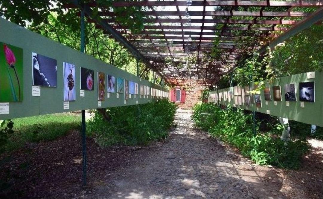 Sakız Adası&rsquo;nda Egzotik Sergi