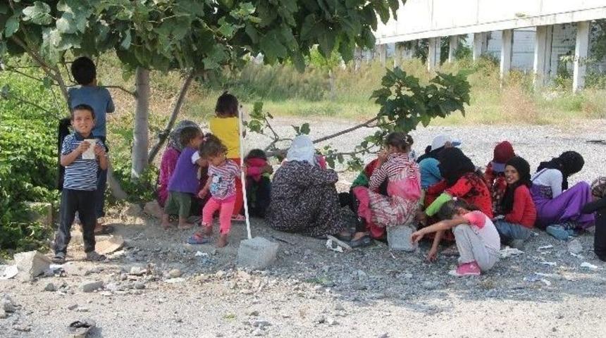 İş Vaadiyle Kandırılan Suriyeli İki Aile Ortada Kaldı