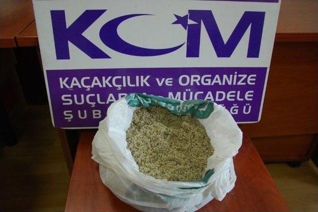 Sakarya’da 720 Gram Bonzai Ele Geçirildi