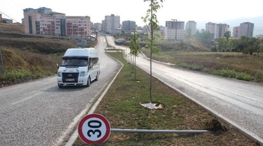 Şehir Magandaları Trafik Levhalarını Yıktı