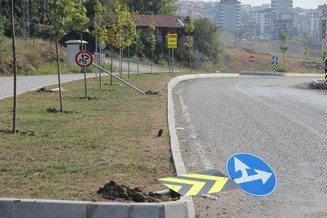 Şehir Magandaları Trafik Levhalarını Yıktı