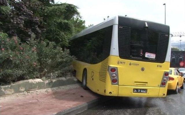 Freni Boşalan İett Otobüsü Ağaçlık Alana Daldı