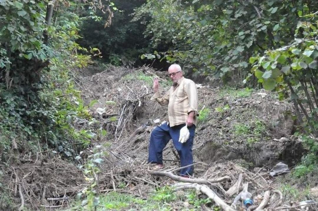 Sağanak Yağış Bazı Tarlalarda Fındık Sele Kapılarak Yok Oldu