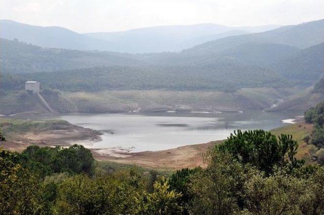 Yalova Susuzluğun Pençesinde