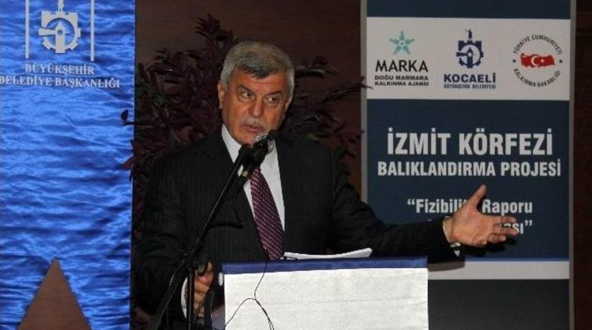 İzmit K&ouml;rfezi Balıklandırma Projesi Sonu&ccedil; Raporu Yayınlandı