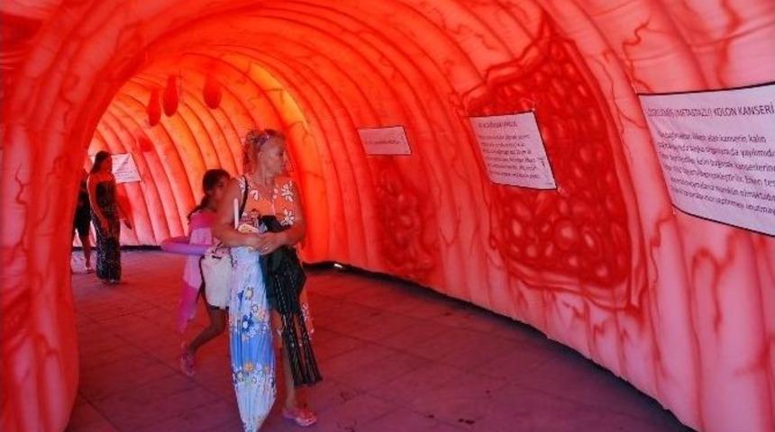 Didim&rsquo;de Rotary Kul&uuml;b&uuml; Tarafından Bilgilendirme Etkinliği