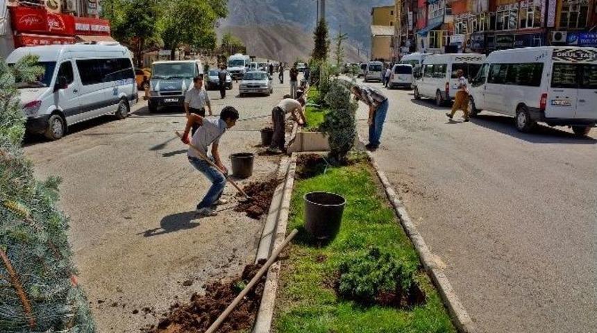 Hakkari&rsquo;de Kent Estetiği D&uuml;zenlemesi