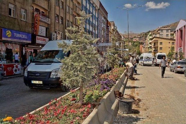 Hakkari’de Kent Estetiği Düzenlemesi