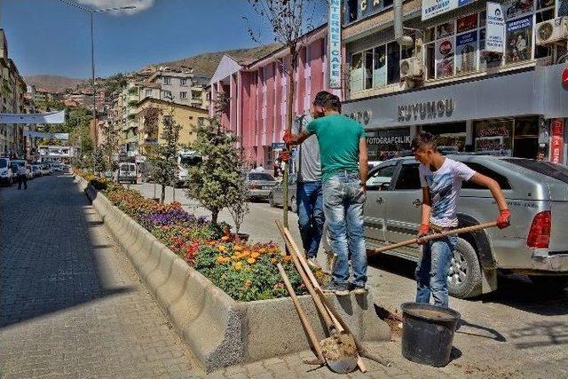 Hakkari’de Kent Estetiği Düzenlemesi