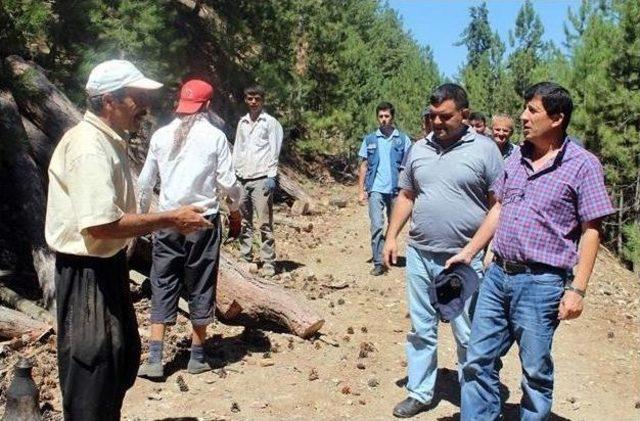 Orman B&ouml;lge M&uuml;d&uuml;r&uuml; Erol, Saimbeyli&rsquo;yi Ziyaret Etti 1