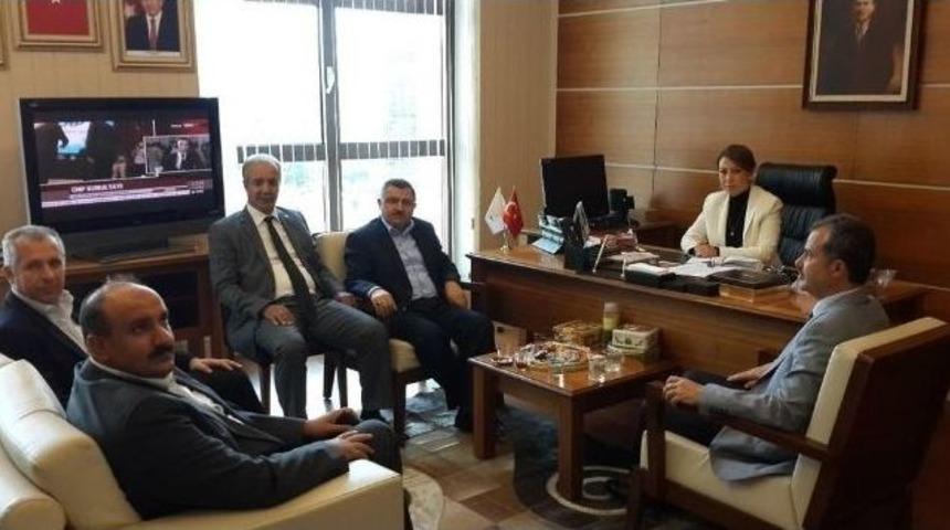 &Ccedil;alık&rsquo;a Ziyaretci Yoğunluğu