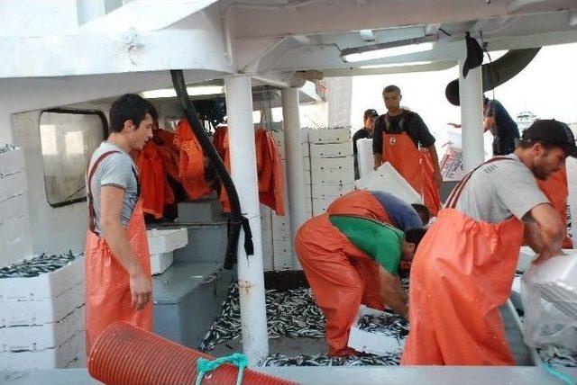 Didimli Balık&ccedil;ılar Sezona Bereketli Başladı 2