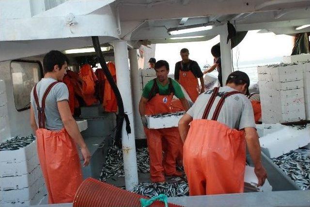 Didimli Balık&ccedil;ılar Sezona Bereketli Başladı 3