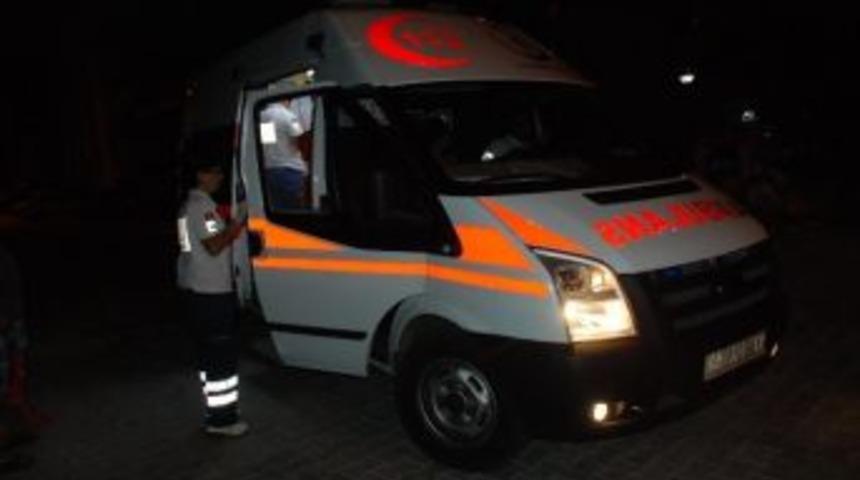 Didim&rsquo;de Sokak K&ouml;pekleri Gen&ccedil; Kıza Saldırdı