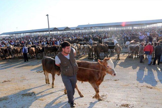 Kurban Bayramına Doğru