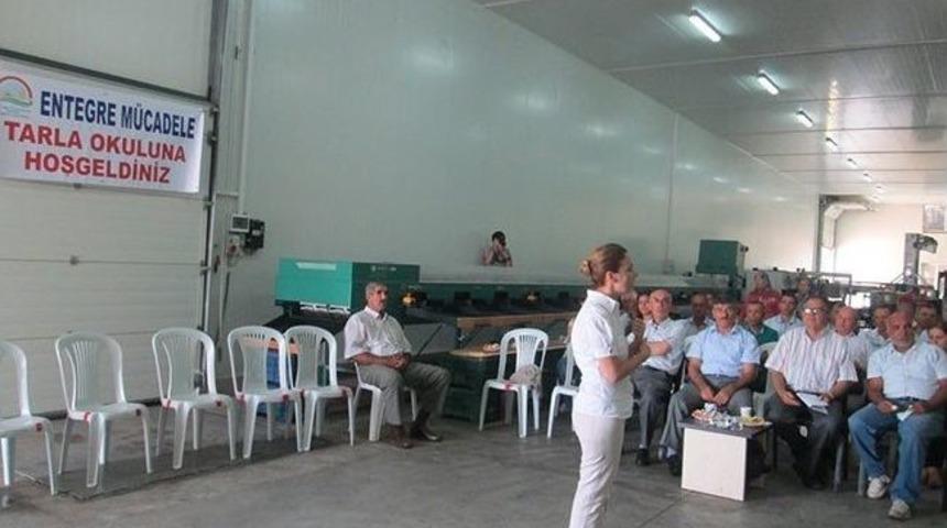 &Ccedil;ift&ccedil;i Tarla Okulları Devam Ediyor