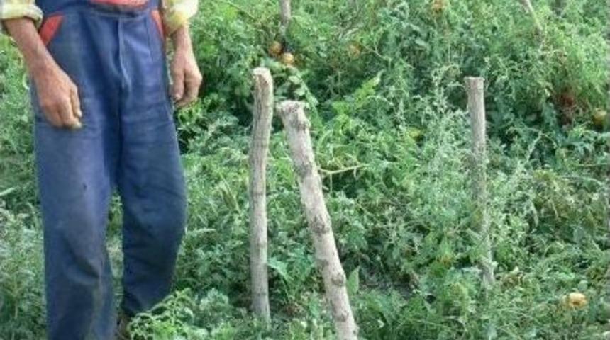 27 Yıldır Sadece Organik &Uuml;retim Yapıyor